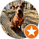 Profilbild von „Color Caramel“